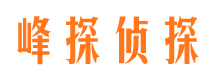 崇仁市私家侦探